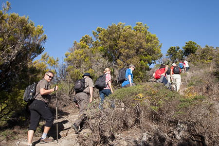 Wandelaars op weg naar de top van de Garajonay op La Gomera