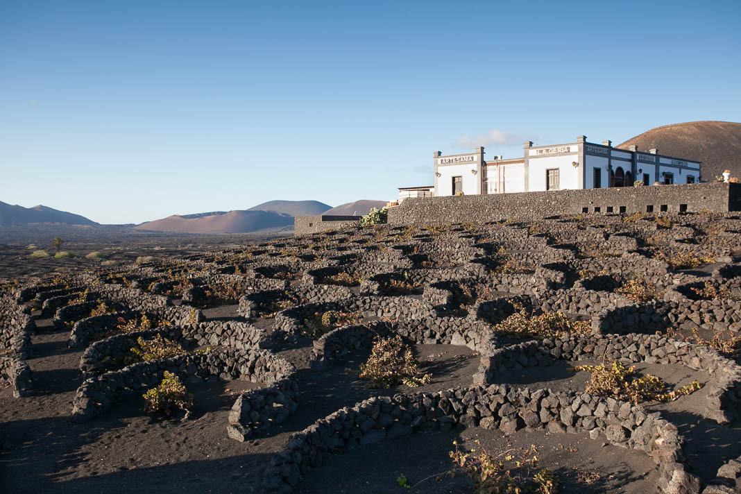 Wijnvelden van La Geria, Lanzarote