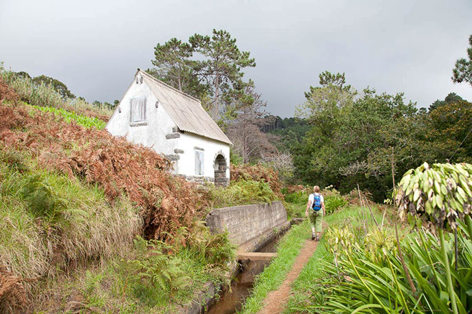 Wandelen langs levada's op Madeira