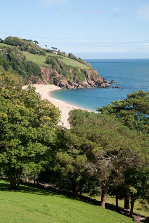 Kustpad in Devon