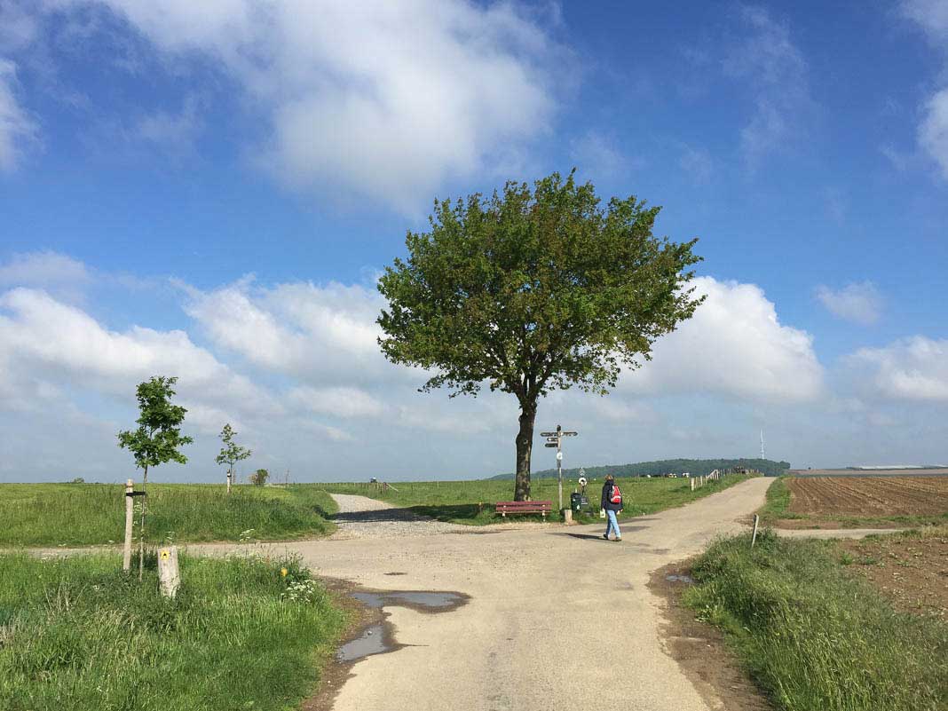 Kruising op het krijtlandpad