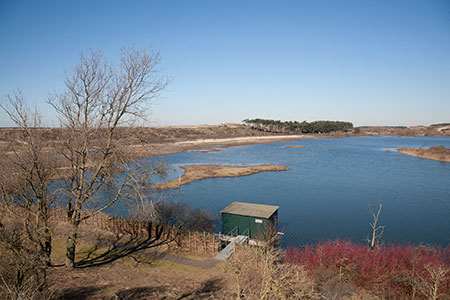 Het Vogelmeer, Kennemerduinen