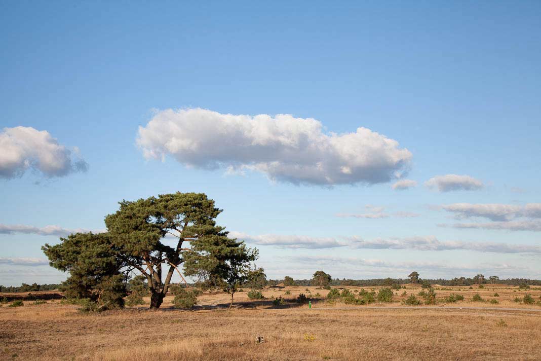 Nationaal Park de Hoge Veluwe