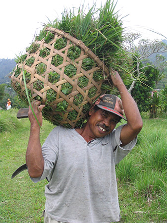 Een boer op Bali