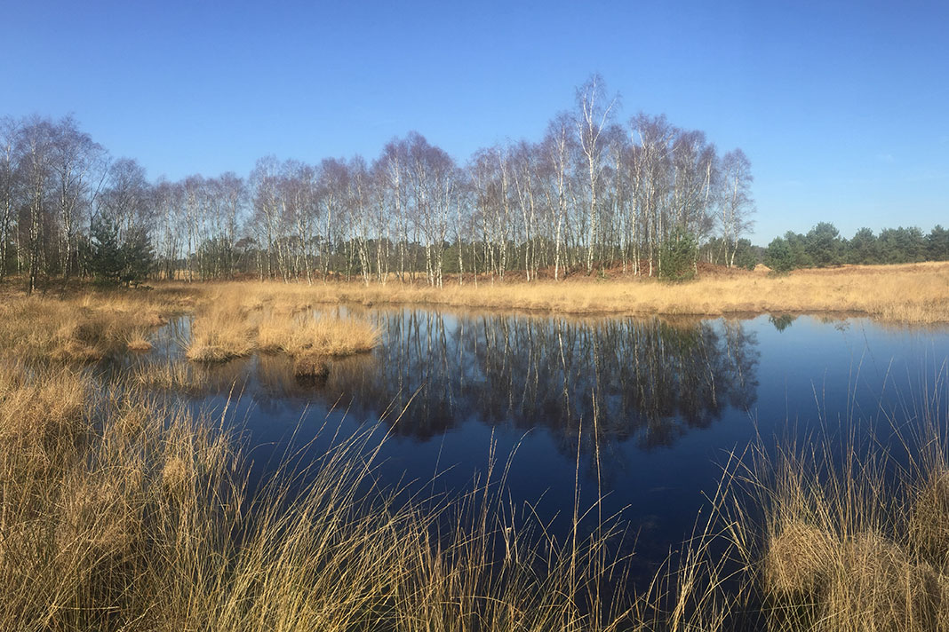 De Huisvennen in De Kampina