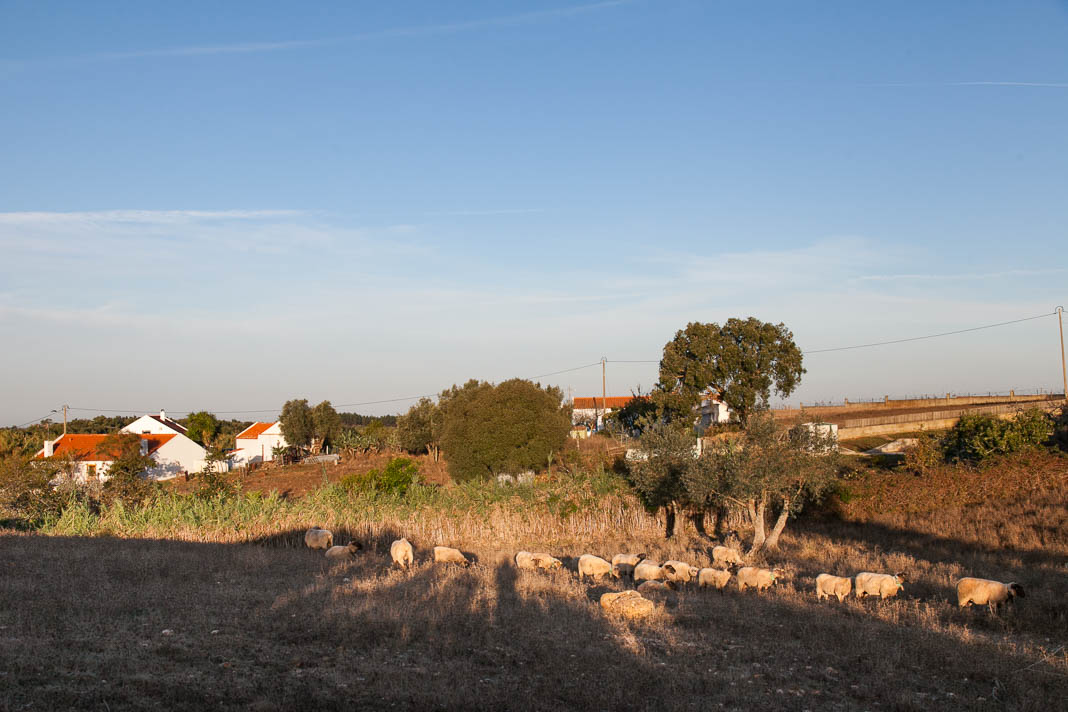 Glamping in Alentejo, Portugal