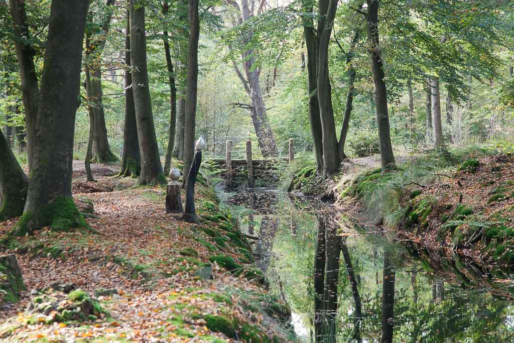 Wandeling door het Rijsterbos in Friesland · Wandelingen.info