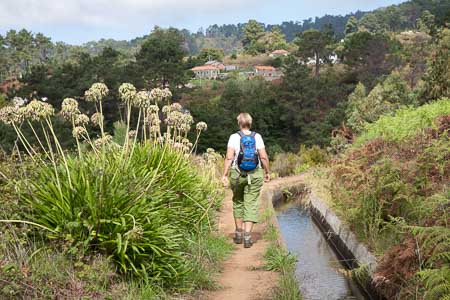 Wandelen langs levadas vanuit Hotel Vila Mia