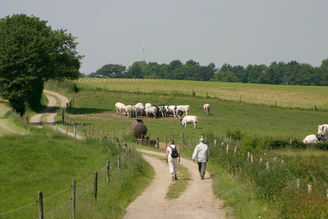 Wandelen in Zuid-Limburg