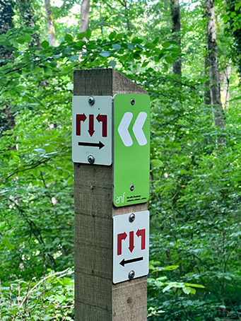 Paaltje in het bos met markering wandelroute Giele Botter