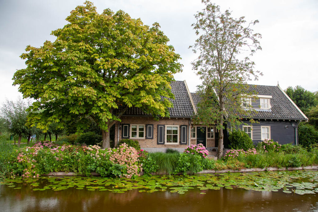 Reeuwijkse Plassen