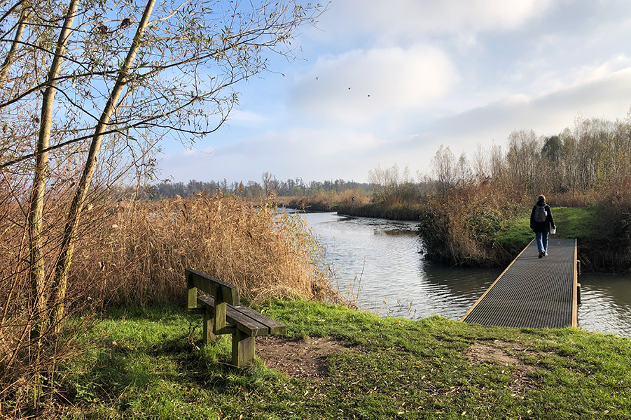 De Brabantse Biesbosch