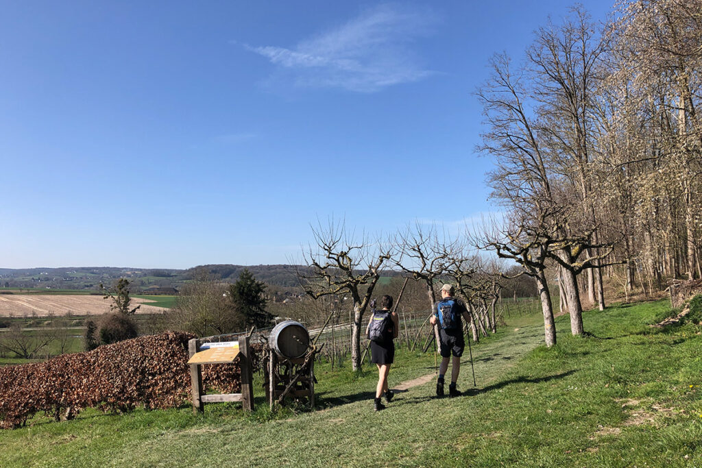 Wijnwandelen in Zuid-Limburg