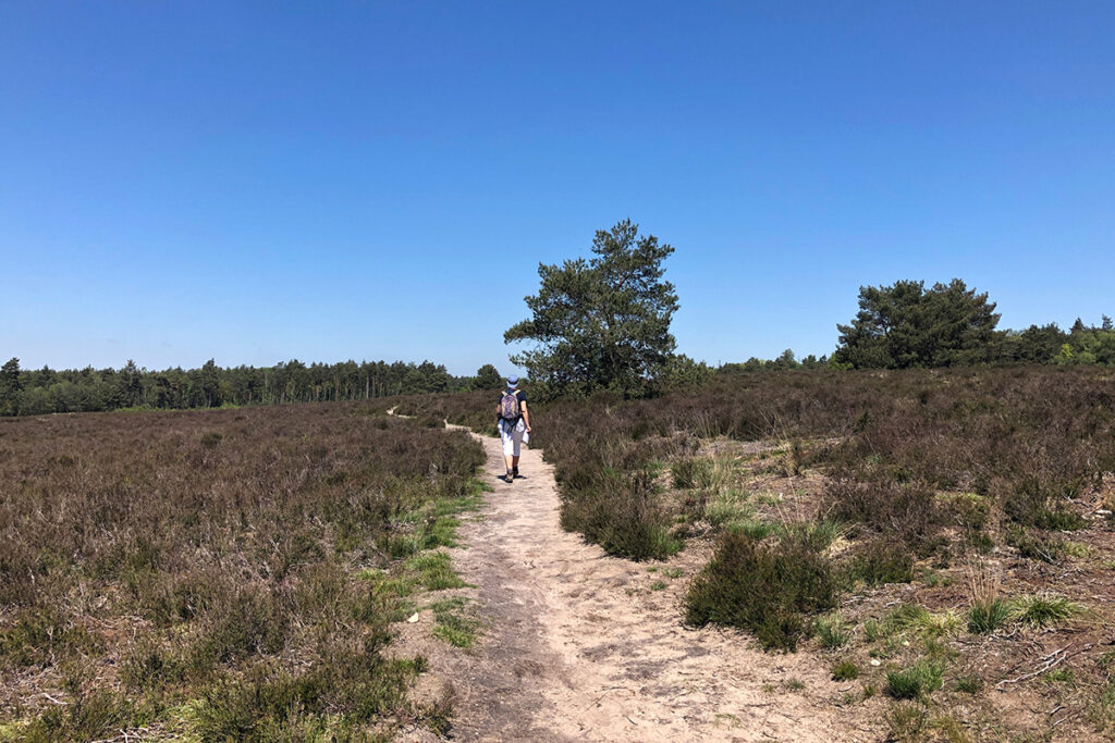 klompenpaden op de Veluwe