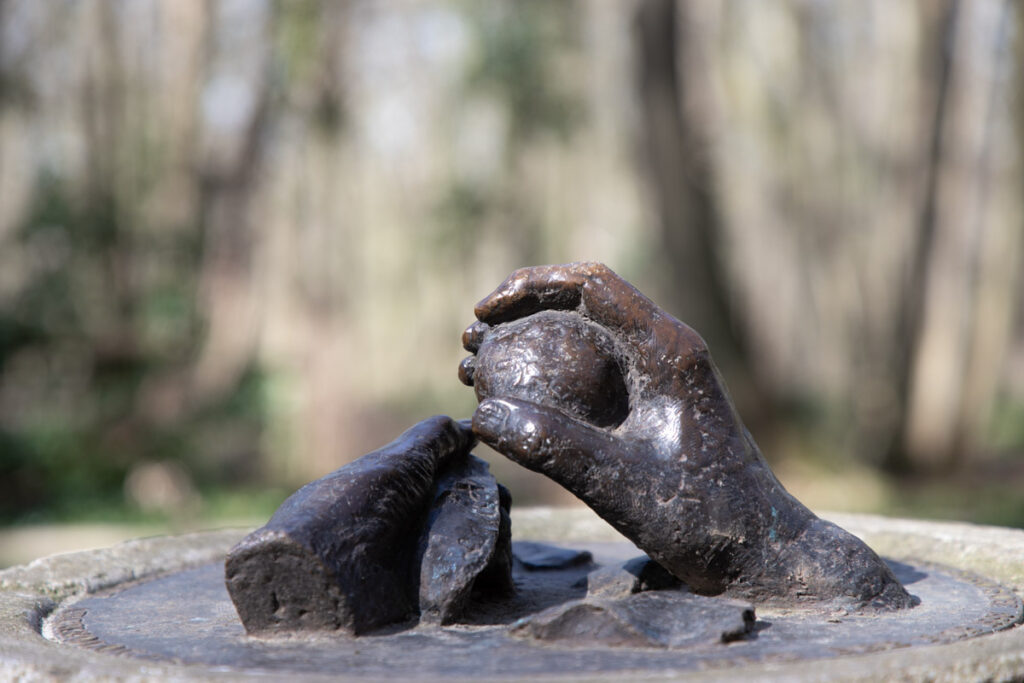 wandelen in het Savelsbos