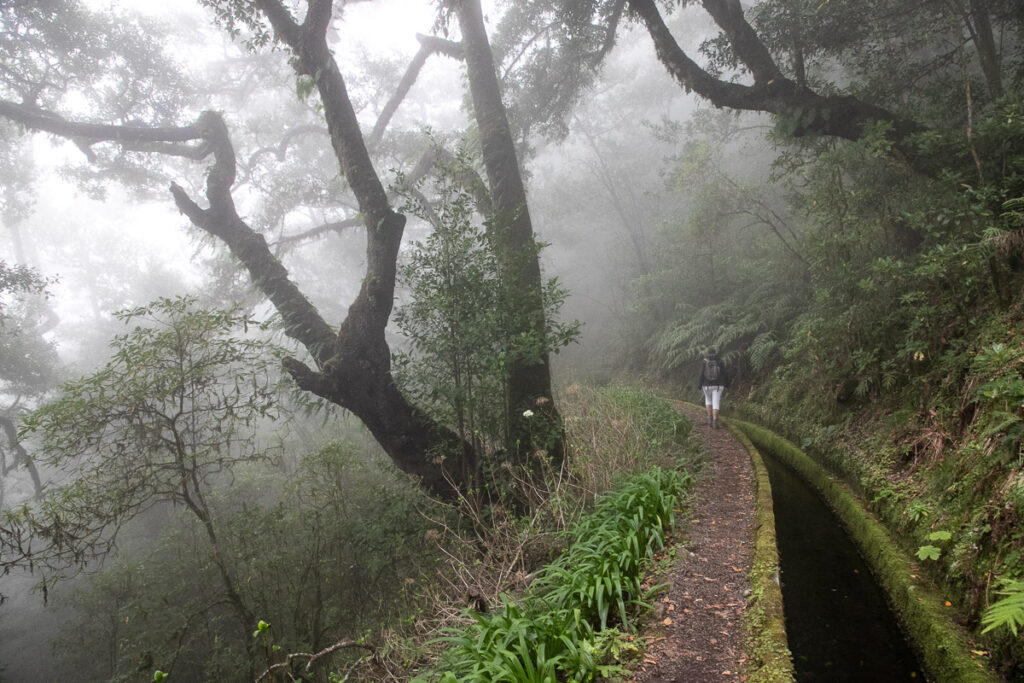 Wandelen langs de Levada do Norte naar het Folhadal op Madeira