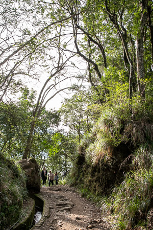 De wandelroute naar Balcões, Ribeiro Frio, Madeira