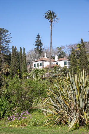 De mooiste wandelingen in Oost-Madeira