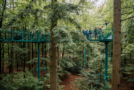 Het Boomkroonpad ©Marleen Annema Fotografie