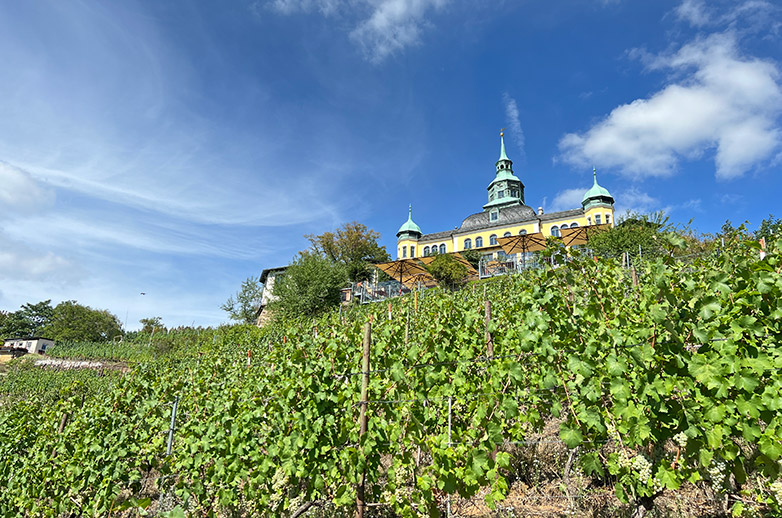 Wijngaarden en het 18e eeuwse Spitzhaus in Radebeul, Saksische Wijnwandelweg