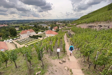 Het wijngoed van Schloss Wackerbarth in Radebeul, Saksische Wijnwandelweg