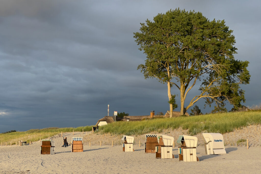 Strandstoelen op het strand bij Ahrenshoop