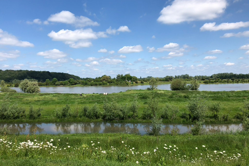 Zicht op de Rijn bij Rhenen