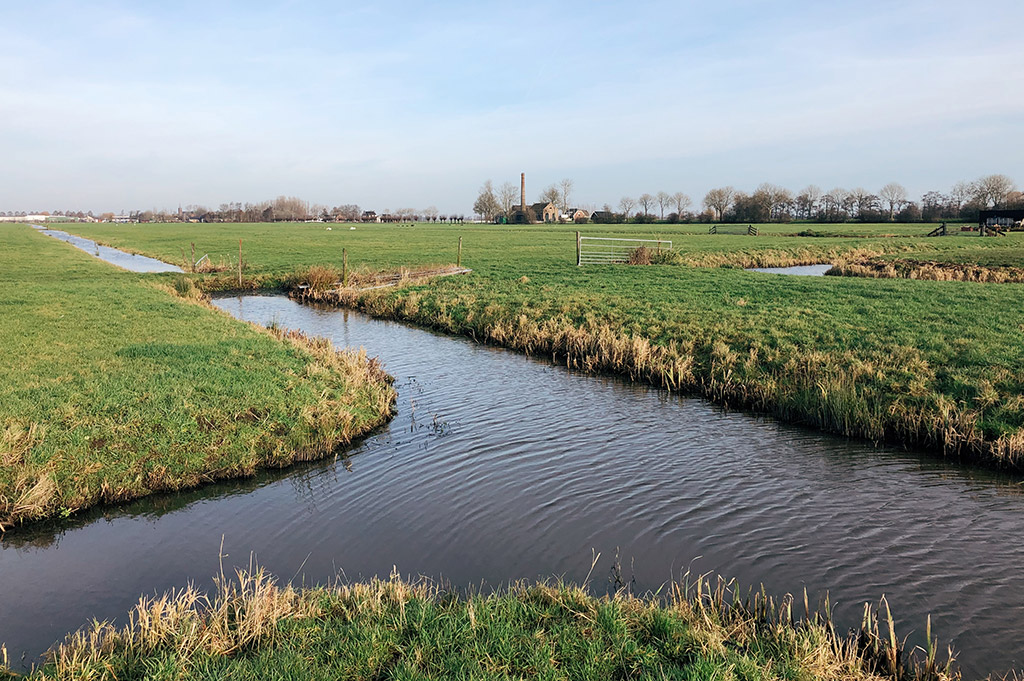 Landschap met sloten en weiland Hollandse Kade