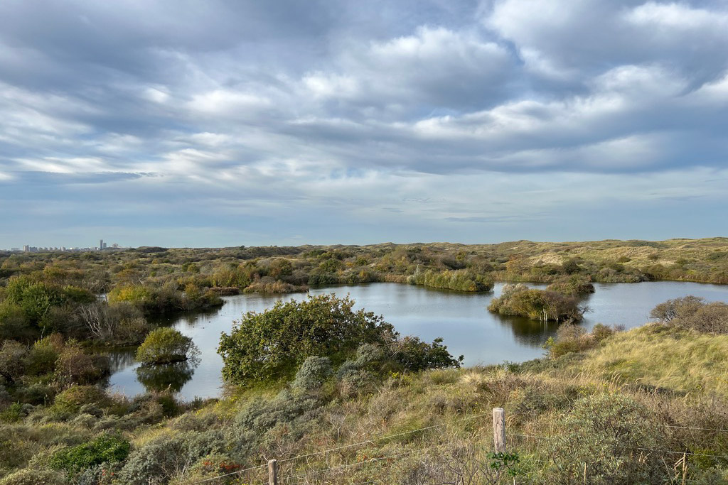 Meijendel