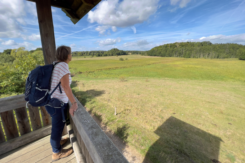 Uitkijktoren bij Kneese, op de Naturparkweg