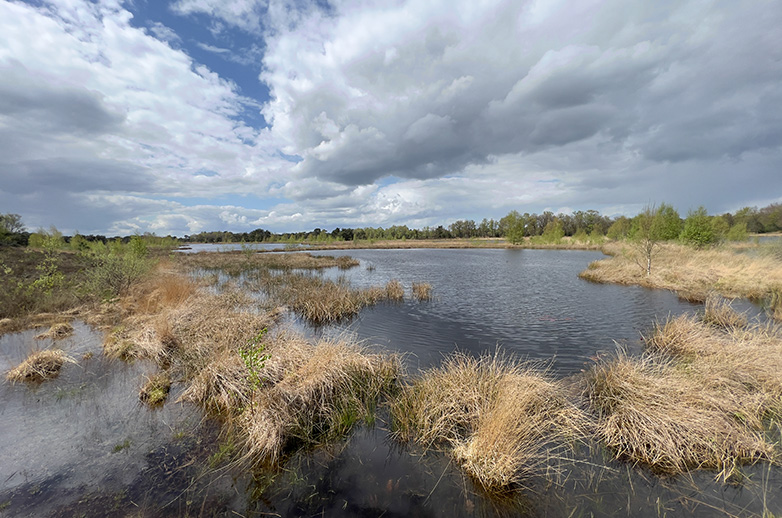 Een ven in de Kampina met fraaie wolkenlucht