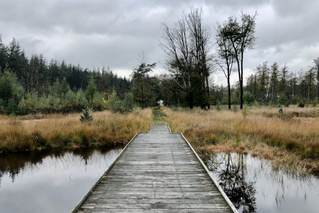 Vlonderpad op het Landgoed van De Slotplaats Bakkeveen