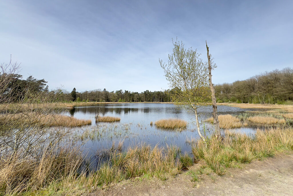 Ven in Nationaal Park Dwingelderveld