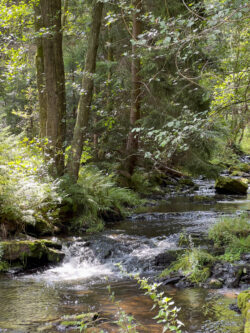 Het Jöstädter Schwarzwasser