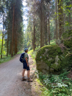 Rotsblokken langs de Kammweg