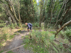 Flinke hoogteverschillen op de Kammweg
