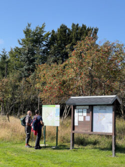 Wandelaars checken de kaart