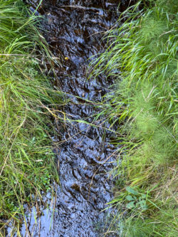 Close-up van een beek